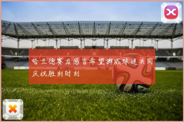 哈兰德赛后感言希望挪威球迷共同庆祝胜利时刻
